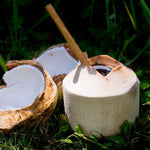 Kokosnüsse