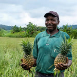 Früchte aus Afrika