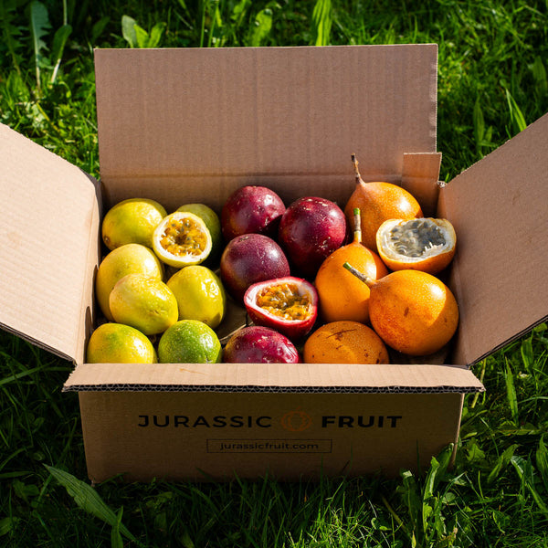 Trio Passionsfrucht