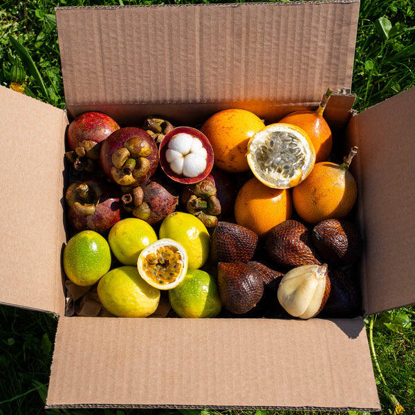 Box 4 kleine exquisite exotische Früchte