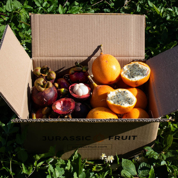 Box Mangostan süße Grenadilla