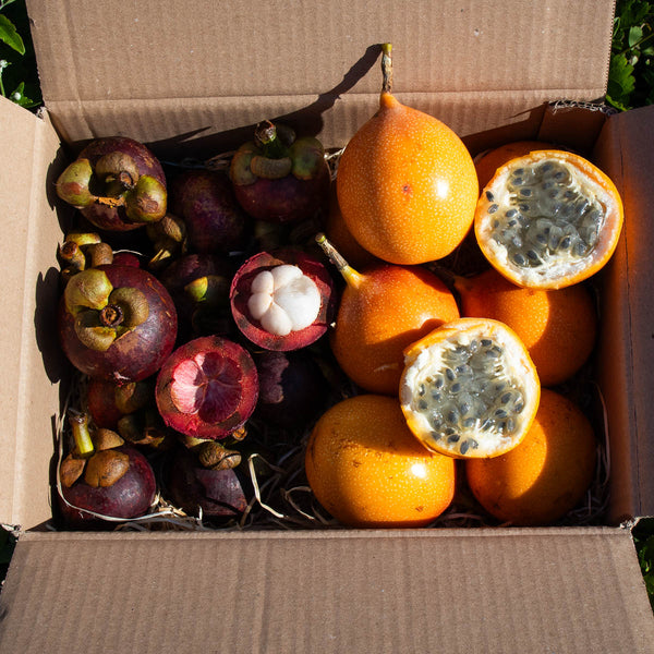 Box Mangostan süße Grenadilla