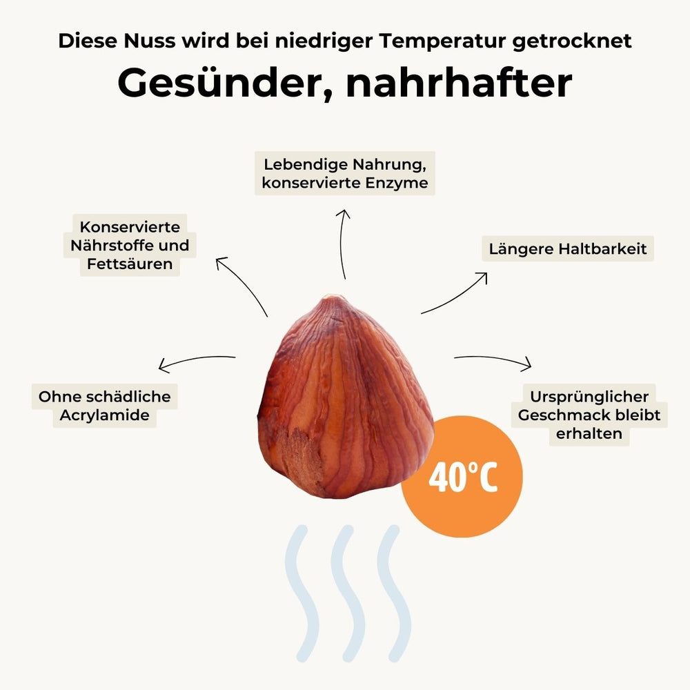 Haselnuss