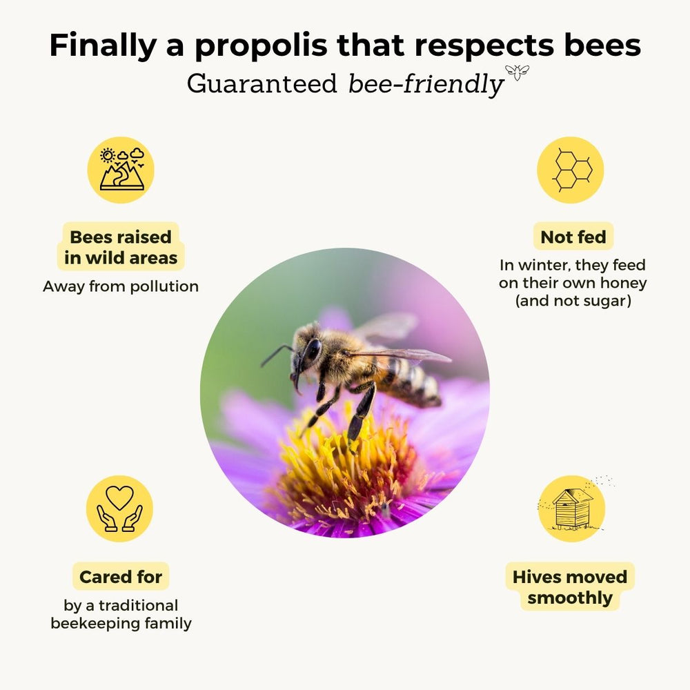 Propolis