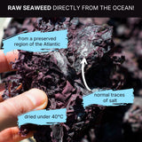 Seaweed Dulse dried