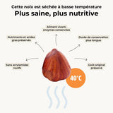 Noisette