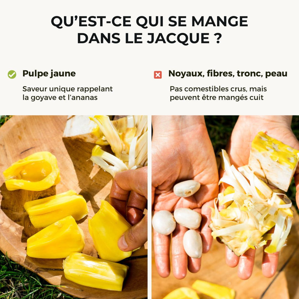 Jacque (Fruit du jacquier) mûr Phet