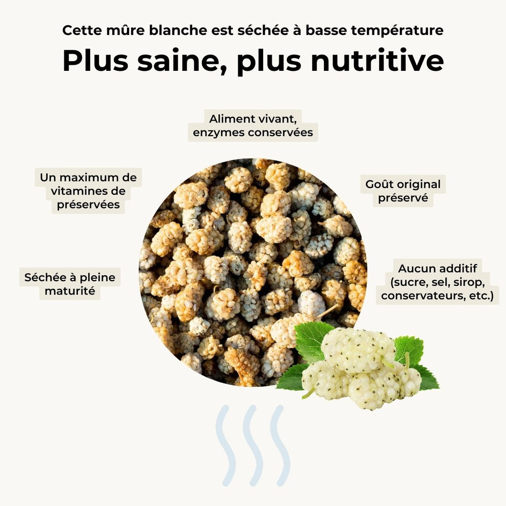 Mûre blanche séchée