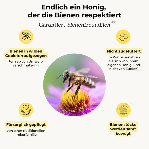 Lavendel-Honig