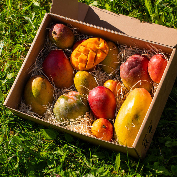 Mango Box Mix