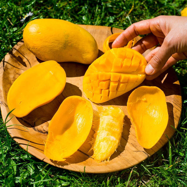 Mango Honig Ataulfo