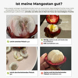 Mangostan