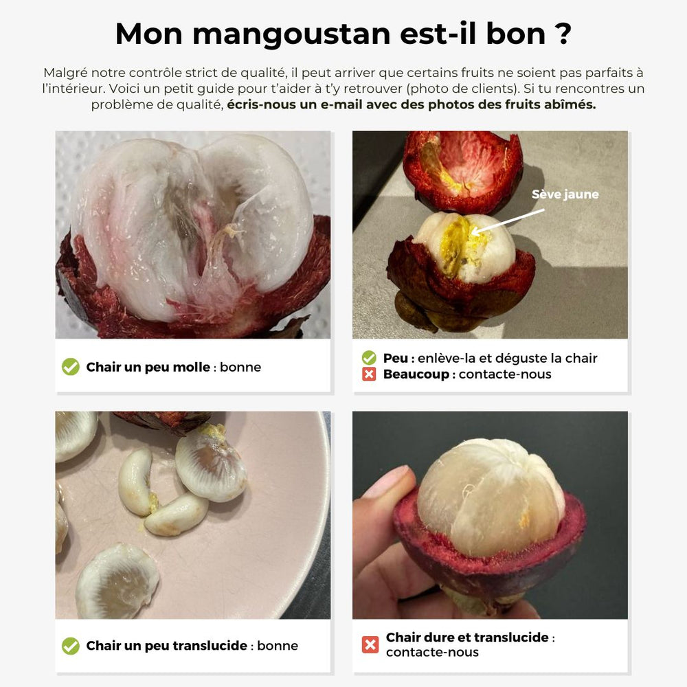 Mangoustan