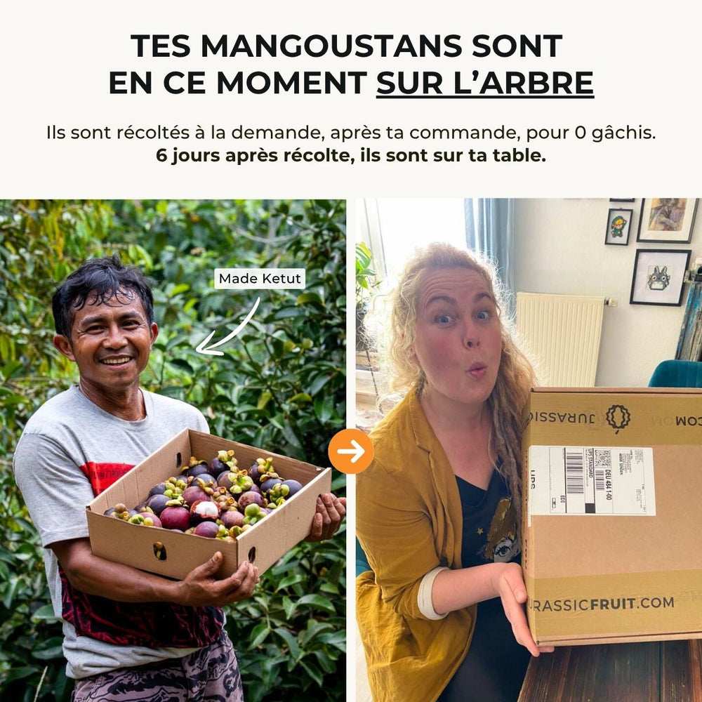 Mangoustan
