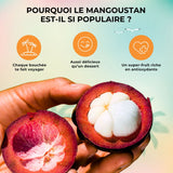 Mangoustan