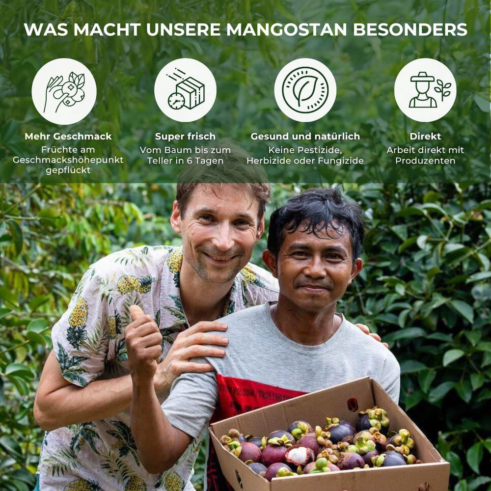 Mangostan