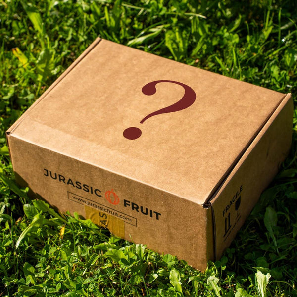 Früchte-Retter-Box