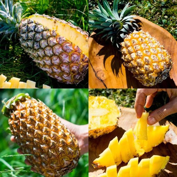 Ananas mix box