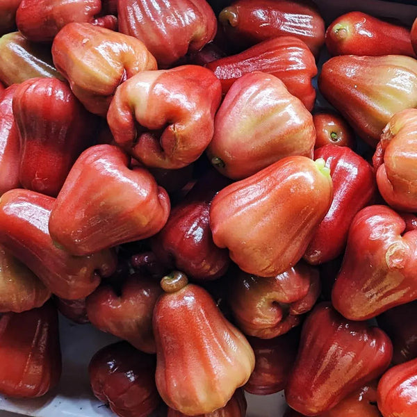 Wasserapfel