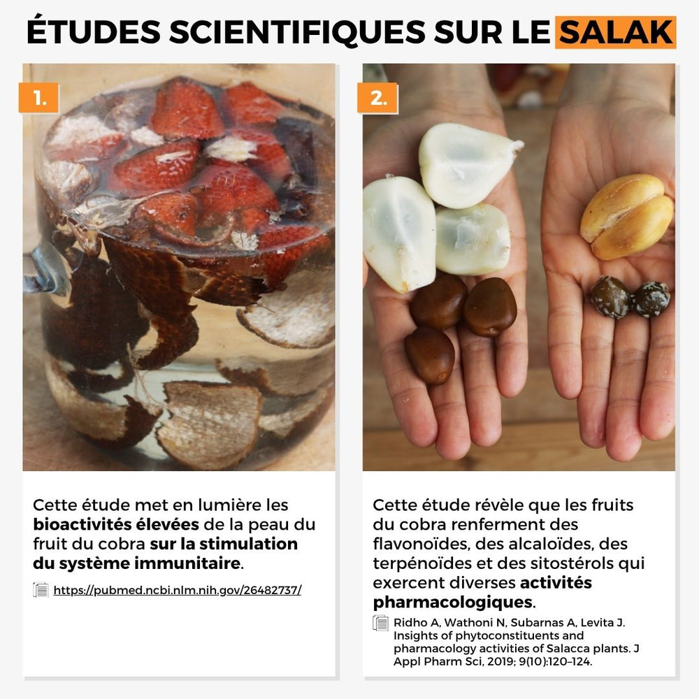 Salak (Fruit du Cobra) Honey