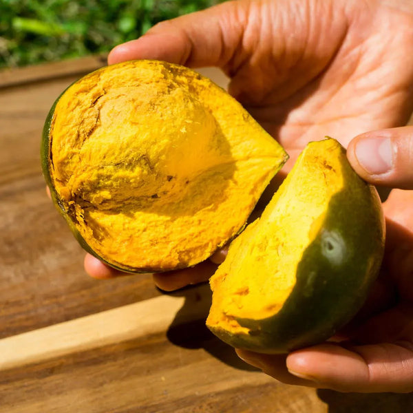Sapote Lucuma